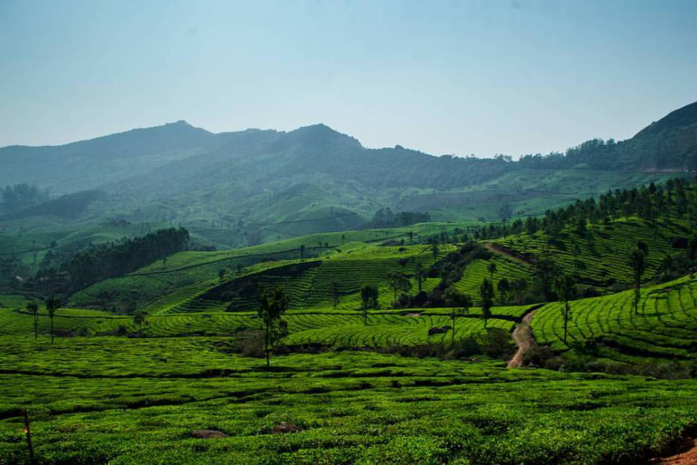 Devikulam